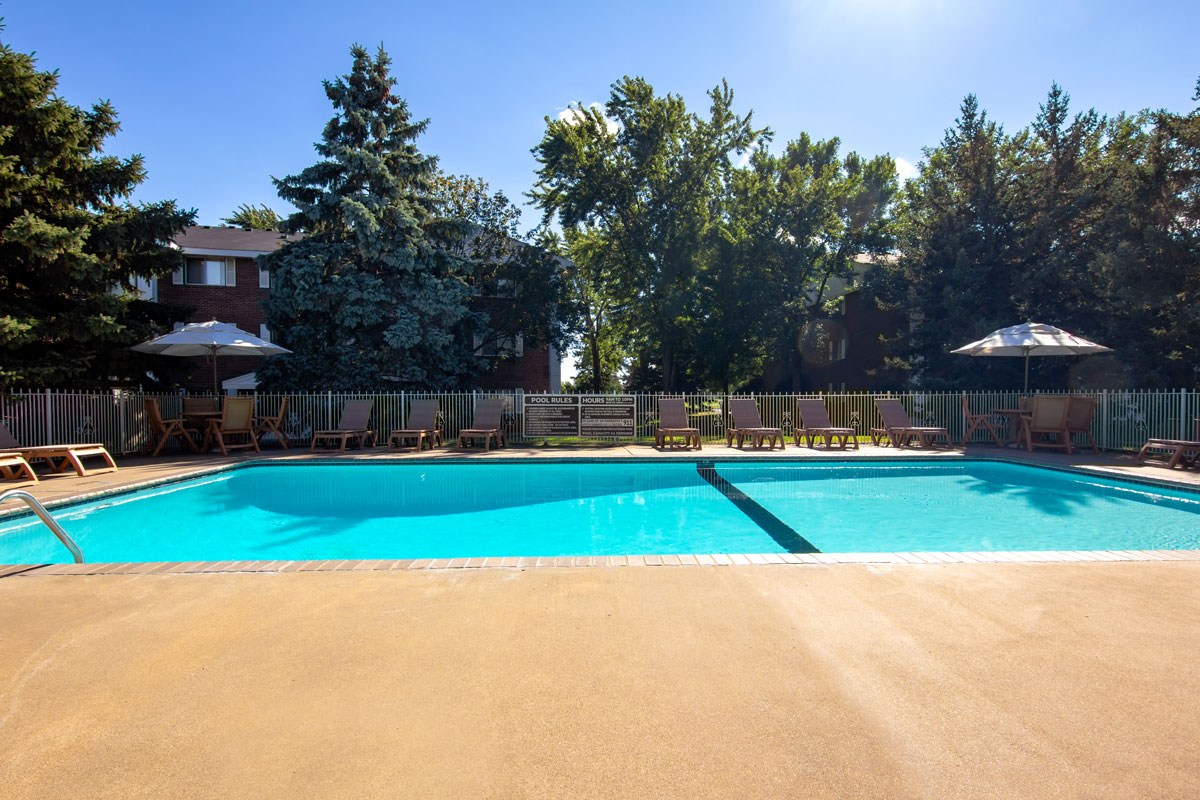 Outdoor pool with chairs and trees surrounding